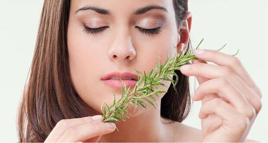 Herbs That Support Healthy Skin and Hair