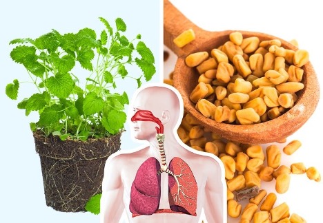 Improving Digestion with Time-Tested Herbal Remedies